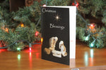 Christmas Cards - Package of 10